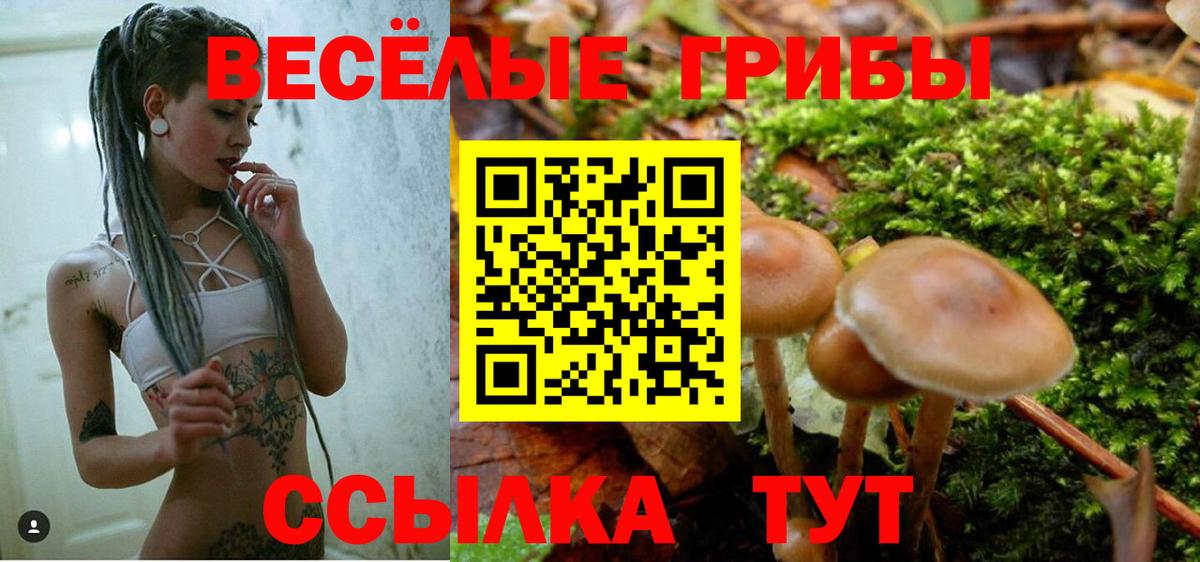 Псилоцибиновые грибы GOLDEN TEACHER  Вход с VPN  Заринск 