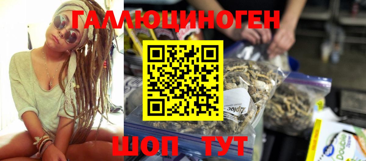 Галлюциногенные грибы Psilocybe Заринск